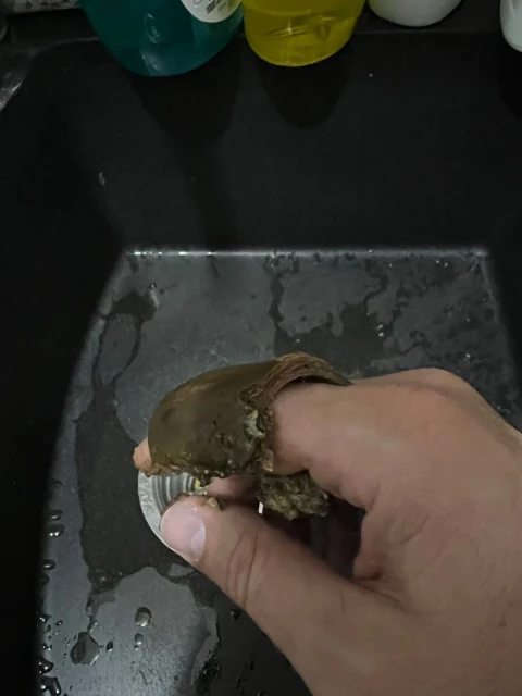 Otpušavanje sudopere Otpušavanje sudopere 11