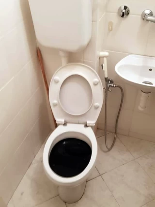 Otpušavanje wc šolje Otpušavanje wc šolje 1