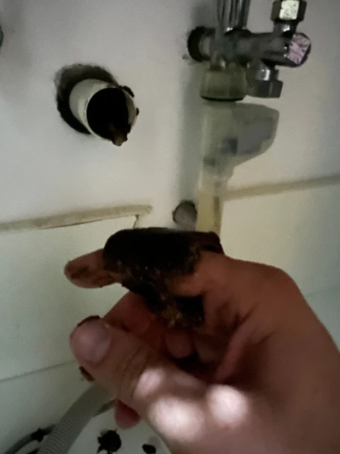 Otpušavanje sudopere Otpušavanje sudopere 12